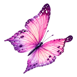 La Mariposa